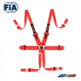 Pack Baquet FIA et Harnais FIA